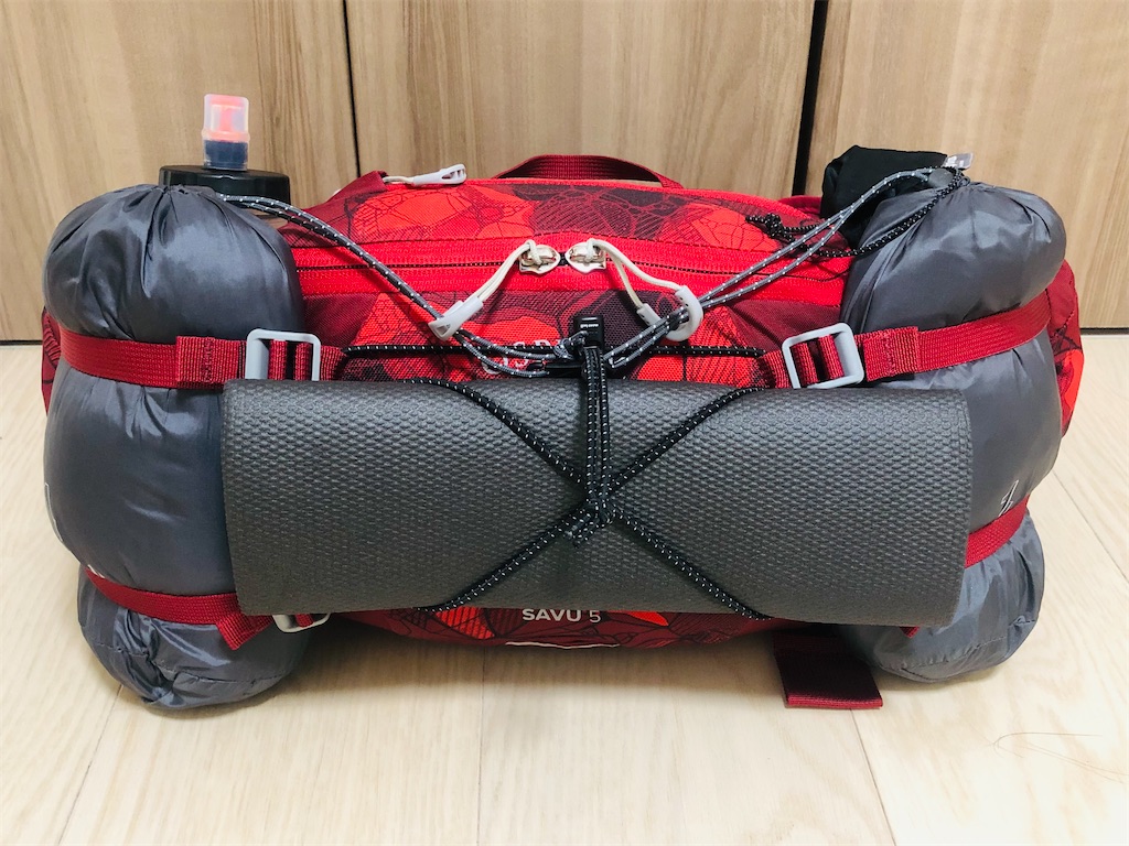 f:id:naka350z:20221230204536j:image