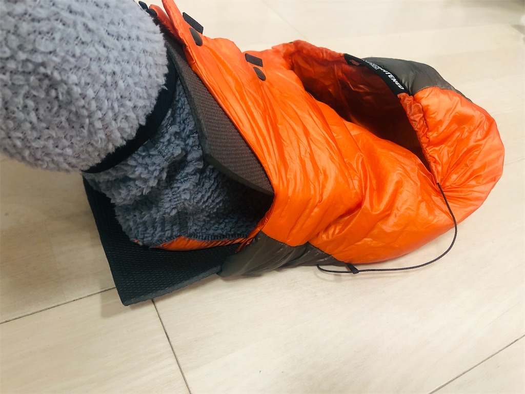 f:id:naka350z:20230206004648j:image