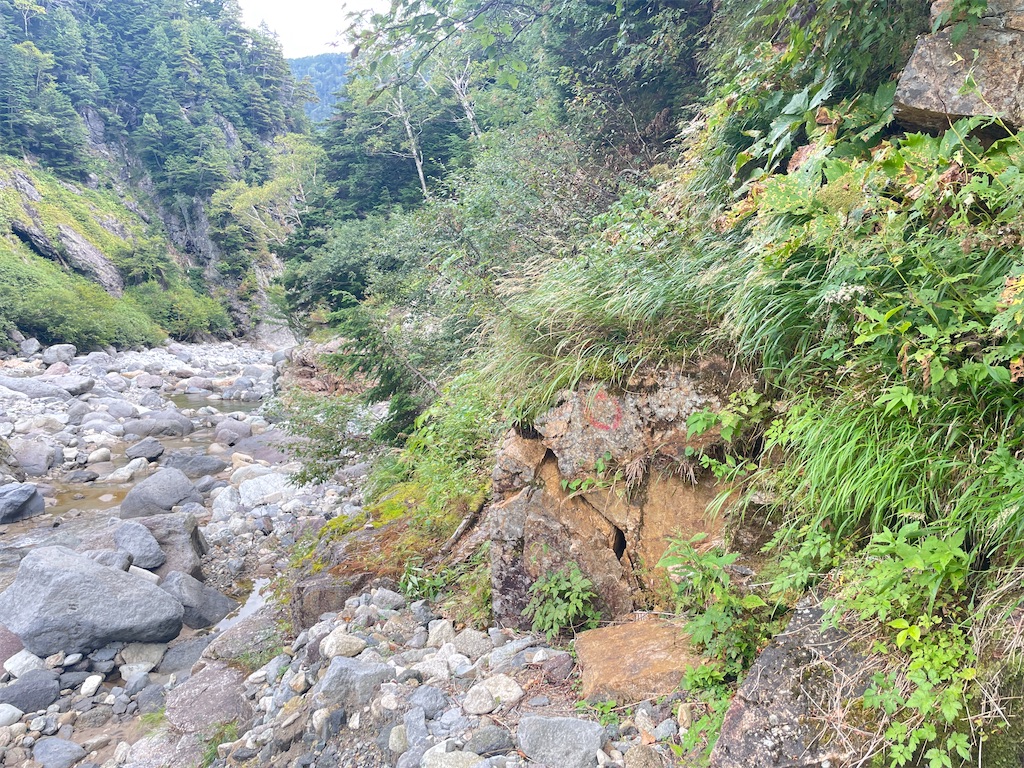 f:id:naka350z:20231106095251j:image