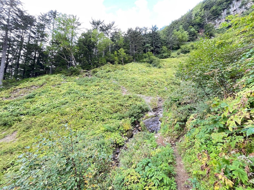 f:id:naka350z:20231106095413j:image