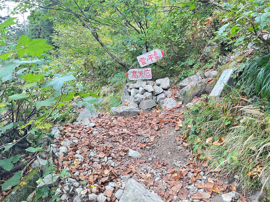 f:id:naka350z:20231106095433j:image