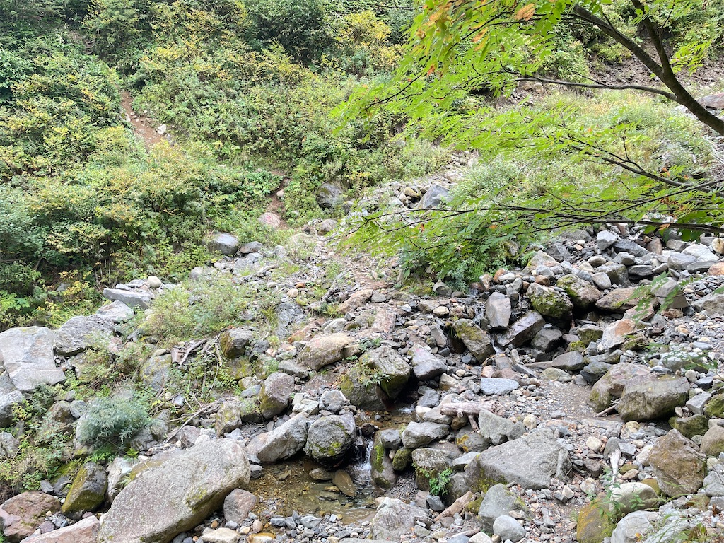 f:id:naka350z:20231106095535j:image