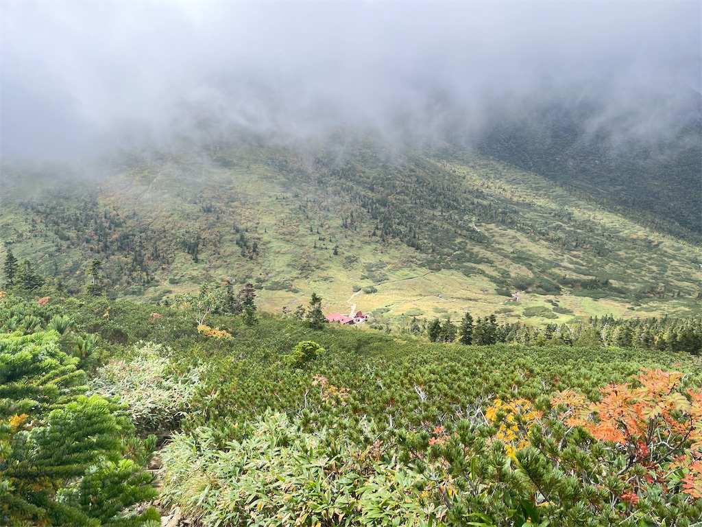 f:id:naka350z:20231106095542j:image