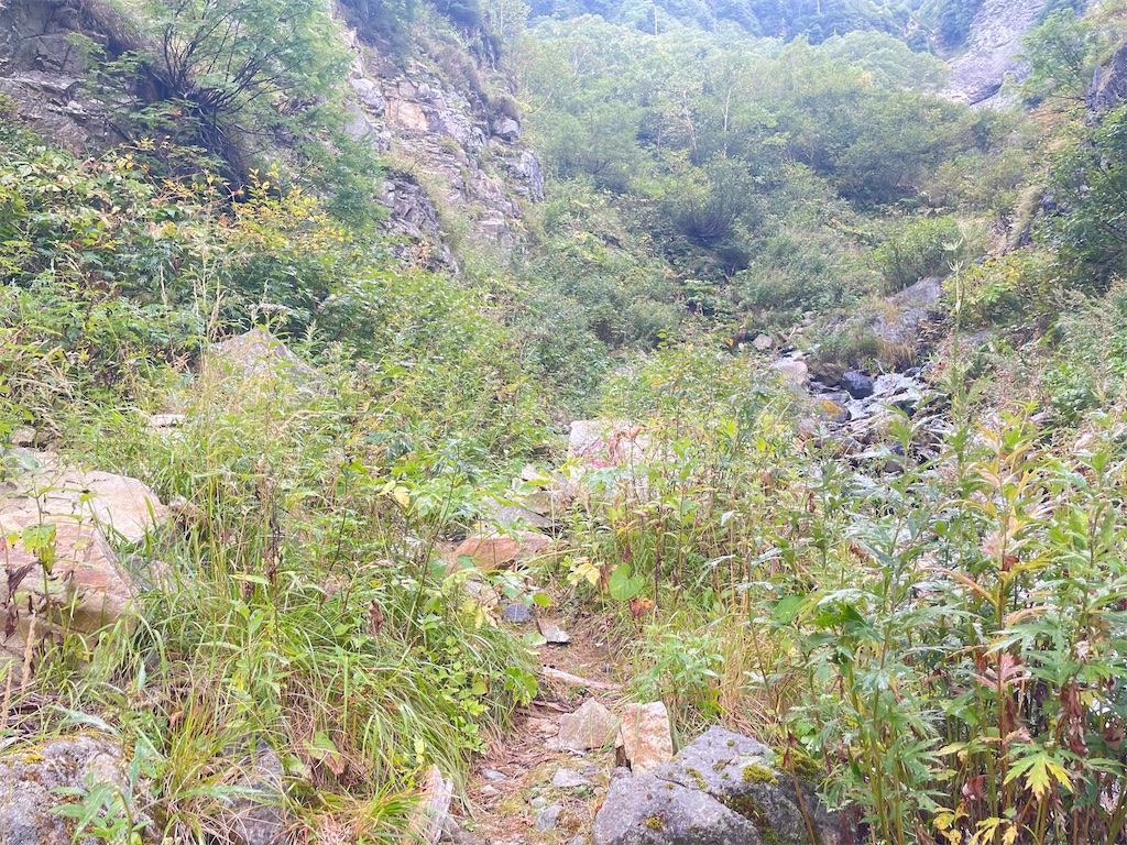 f:id:naka350z:20231106095546j:image