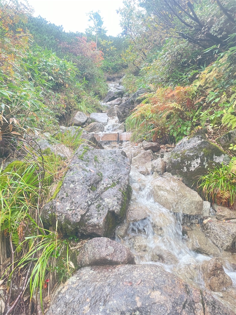 f:id:naka350z:20231120042325j:image