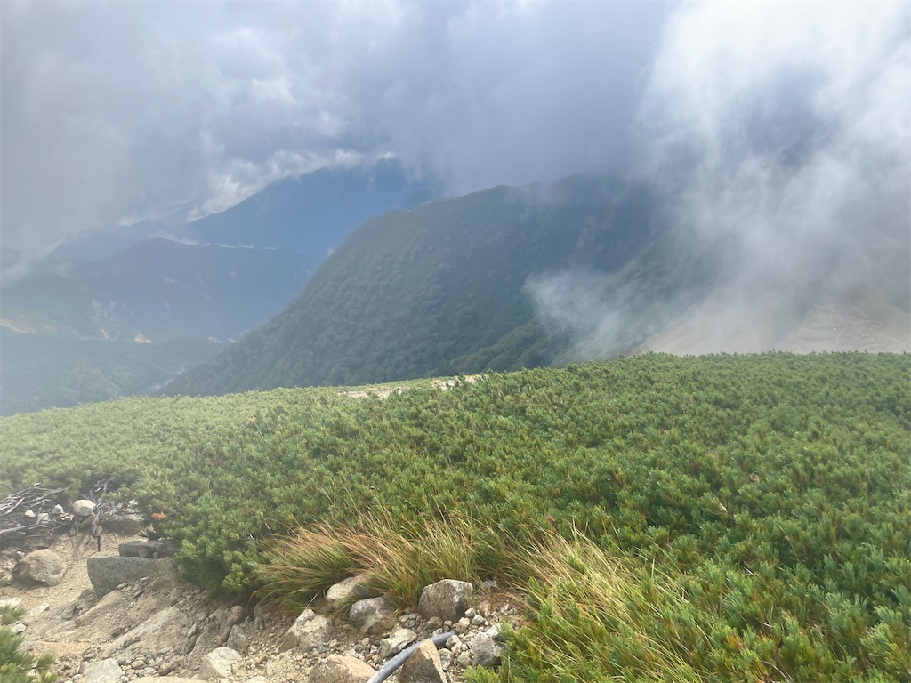 f:id:naka350z:20231120042338j:image