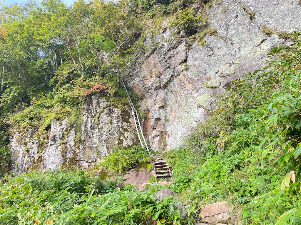 f:id:naka350z:20231211083706j:image