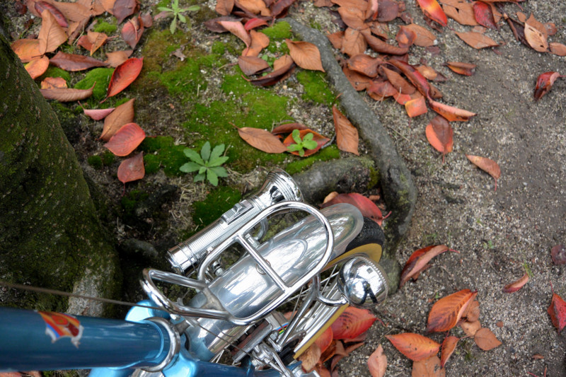 f:id:naka_ao:20141101153531j:image