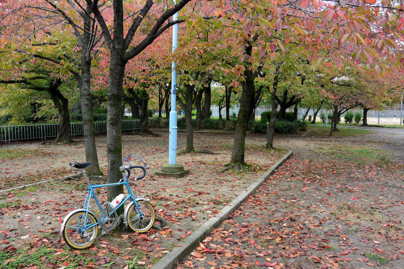f:id:naka_ao:20141101153546j:image