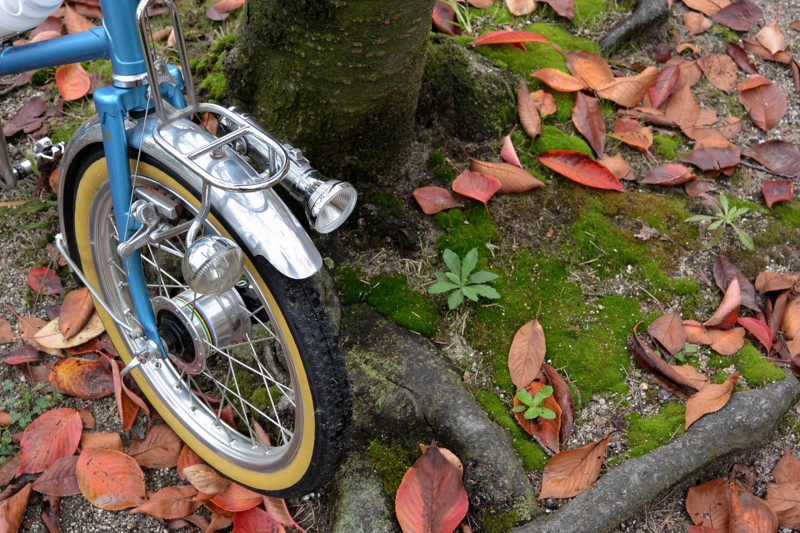 f:id:naka_ao:20141101153638j:image