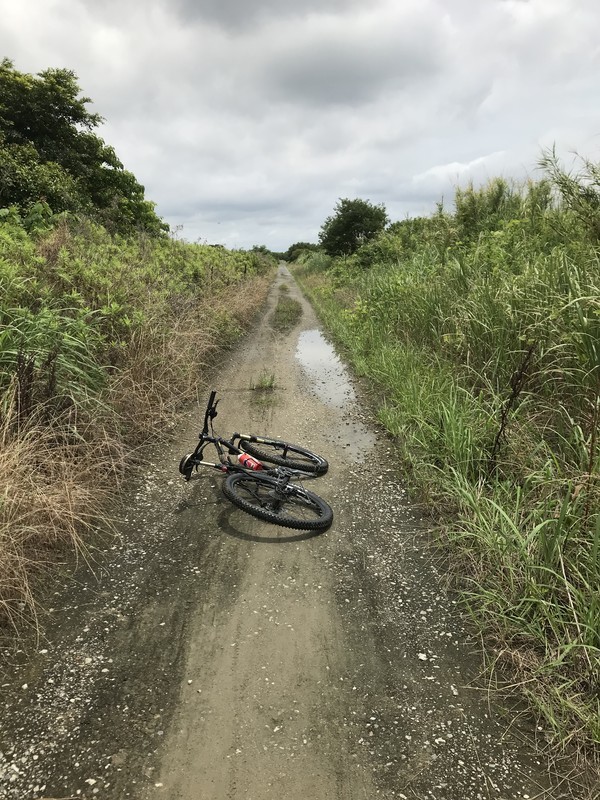 さくらであい館 自転車