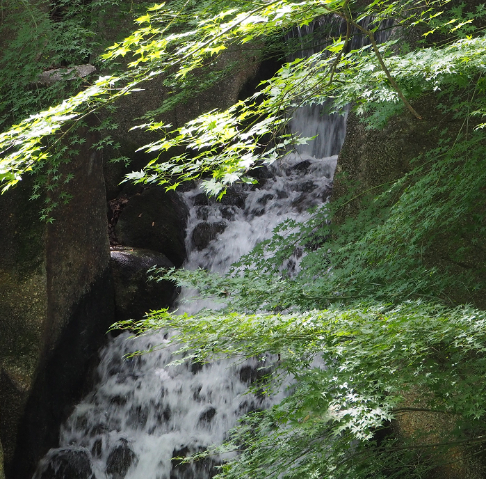 f:id:nakaaki0815:20161230143122p:plain