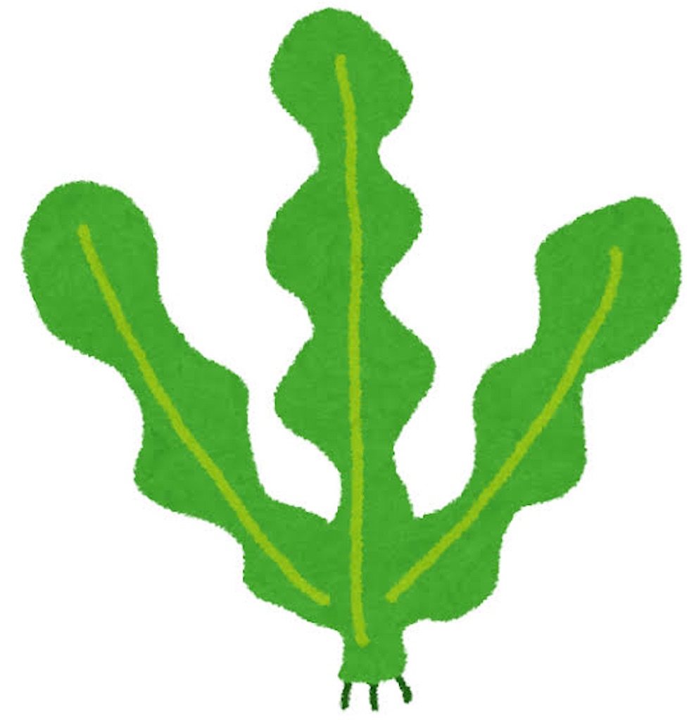 f:id:nakabababa:20210522212720j:image f:id:nakabababa:20210522212720j:image