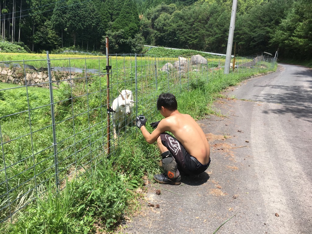 f:id:nakagawa_che:20180829214334j:plain f:id:nakagawa_che:20180829214334j:plain