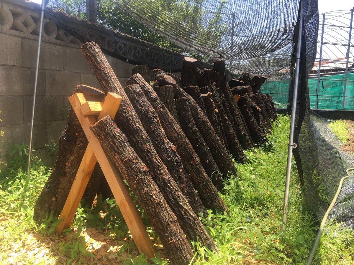 f:id:nakagawa_che:20200513234047j:plain