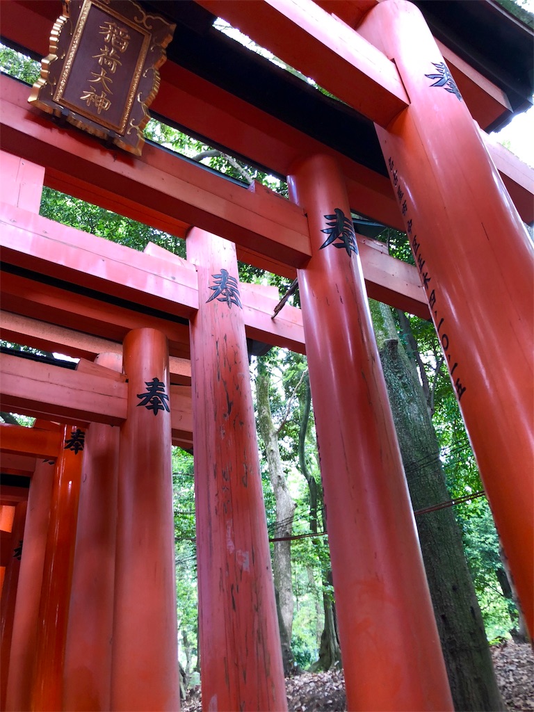 f:id:nakagawahiroe:20180530144613j:image f:id:nakagawahiroe:20180530144613j:image
