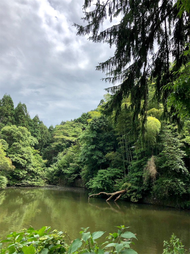 f:id:nakagawahiroe:20180530145155j:image f:id:nakagawahiroe:20180530145155j:image