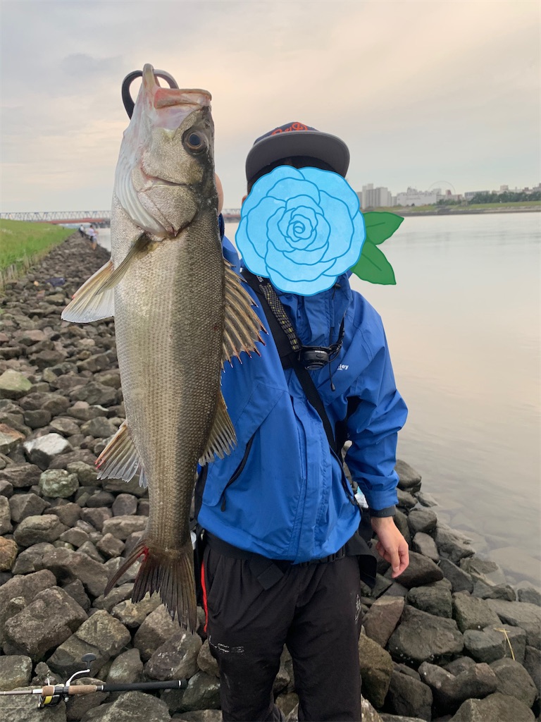f:id:nakagawaseabass:20210607113625j:image