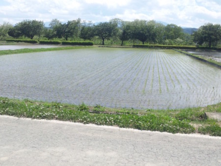 f:id:nakagomibuhin:20150521133136j:image