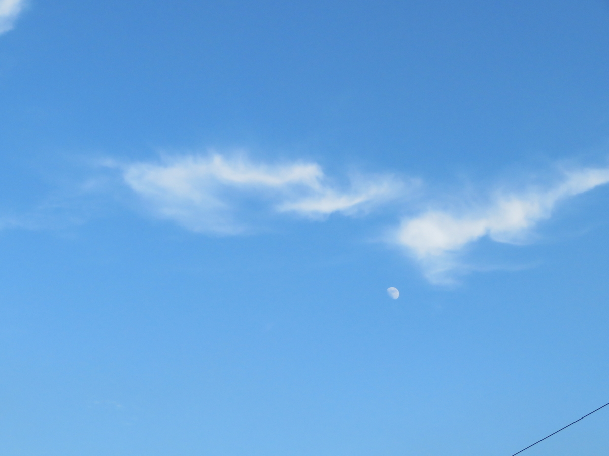 f:id:nakaimamarunosuke:20200801183228j:plain f:id:nakaimamarunosuke:20200801183228j:plain