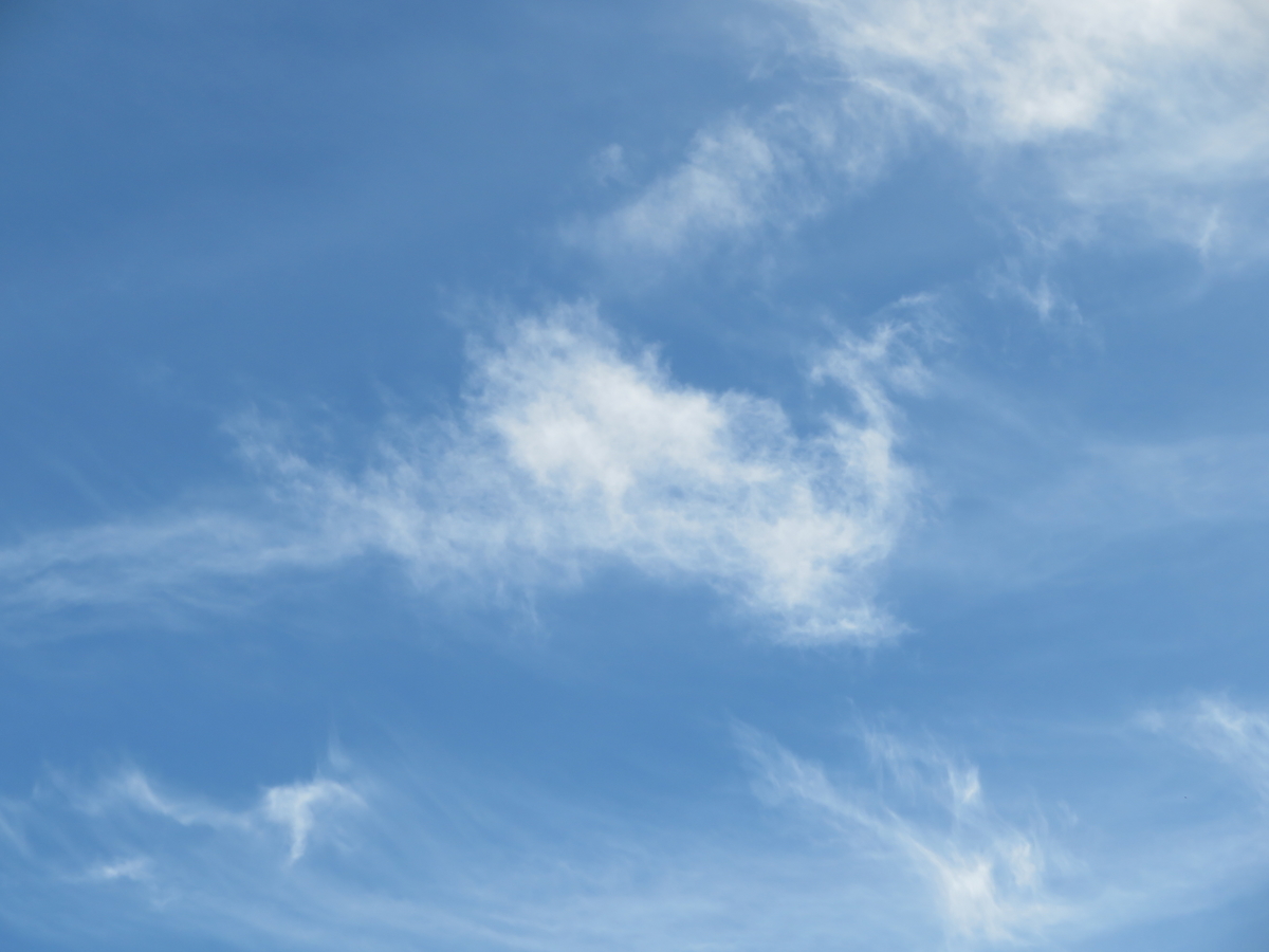 龍神雲 中今 ノ丞の まあるく生きる