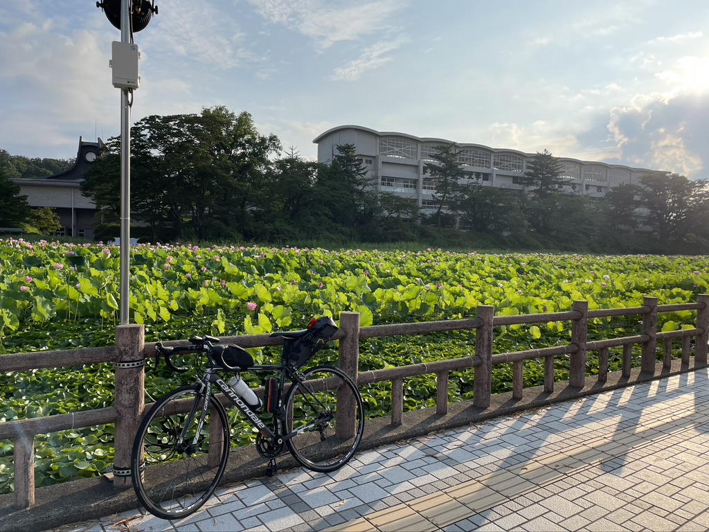 f:id:nakajima0190:20211009105035j:plain