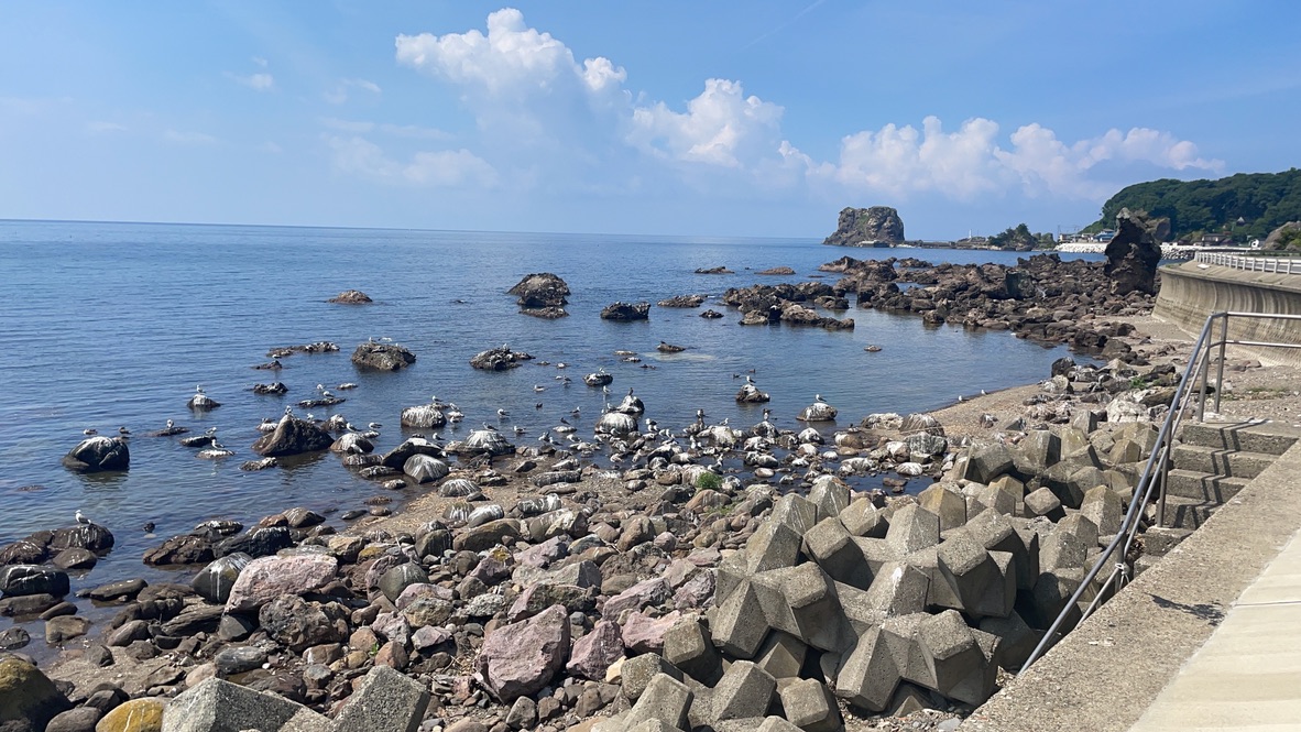 f:id:nakajima0190:20211009105525j:plain
