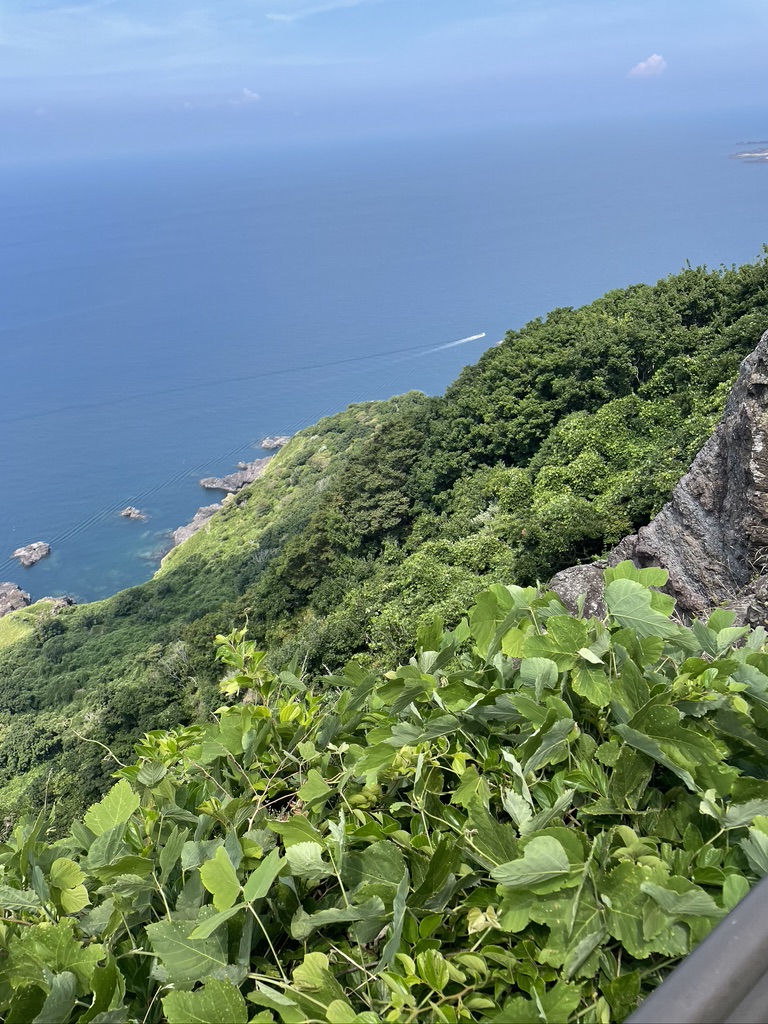 f:id:nakajima0190:20211009105630j:plain