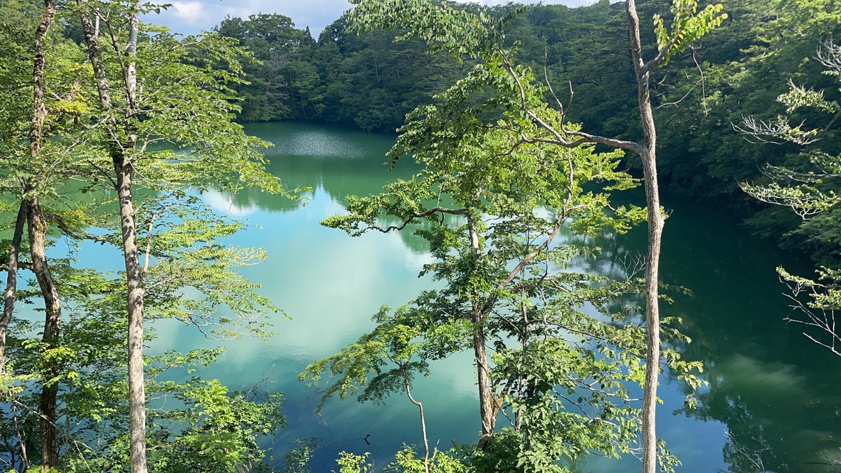 f:id:nakajima0190:20211009110557j:plain