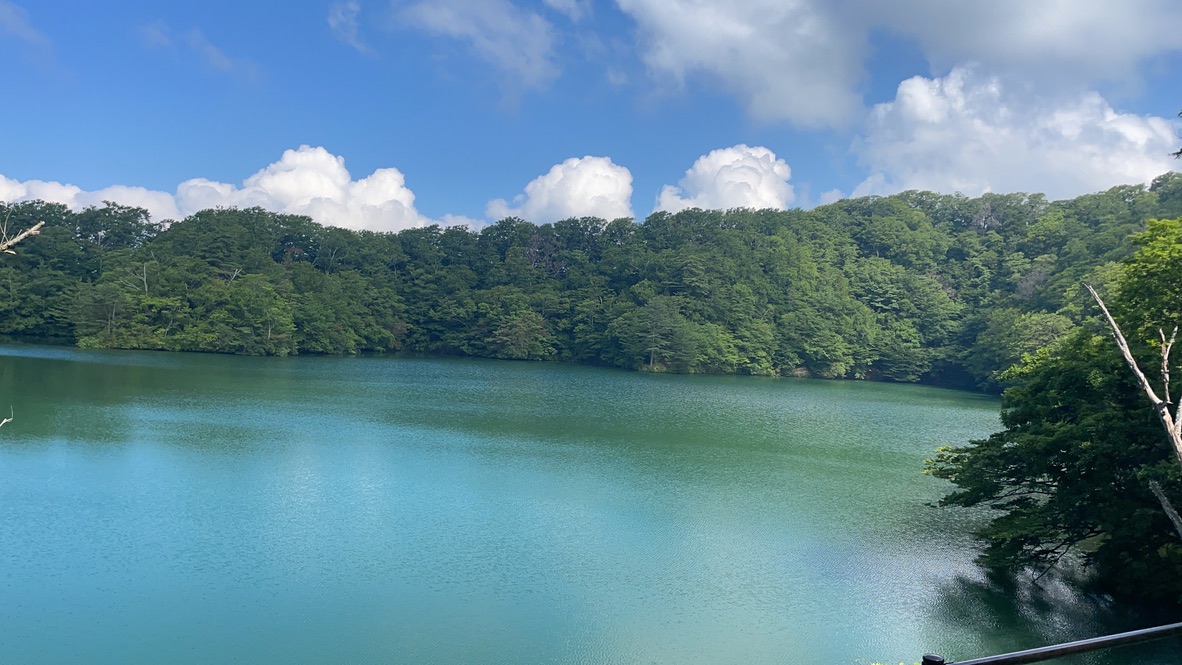 f:id:nakajima0190:20211009110605j:plain
