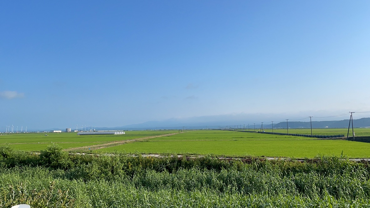 f:id:nakajima0190:20211009111454j:plain