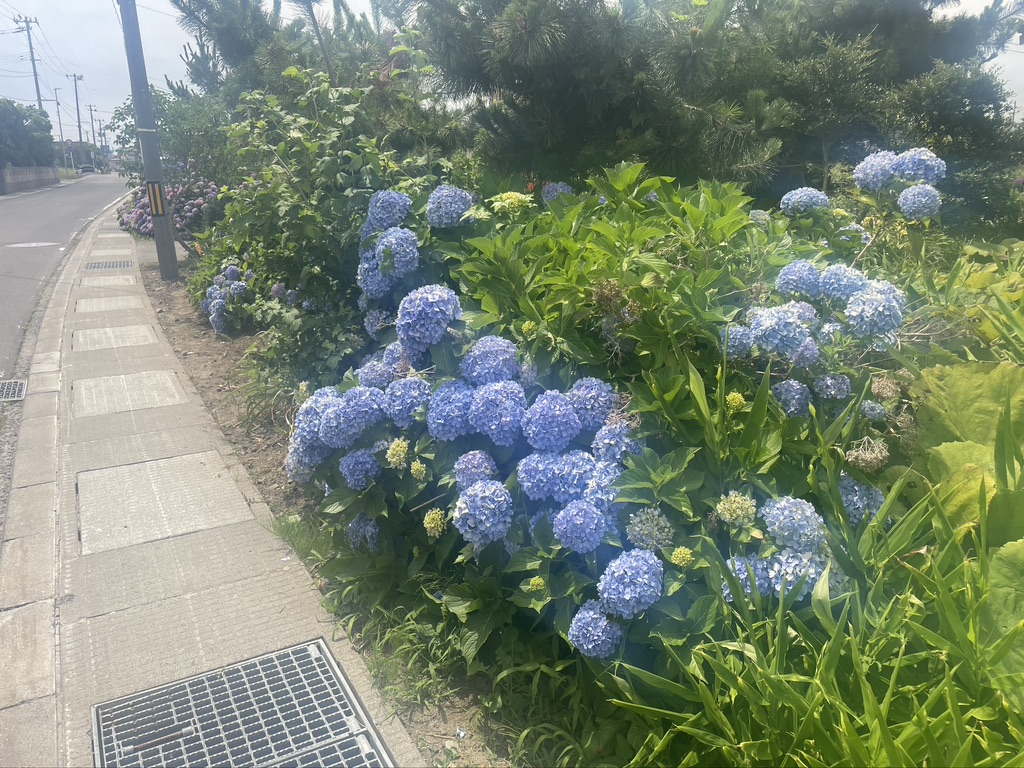f:id:nakajima0190:20211009111736j:plain