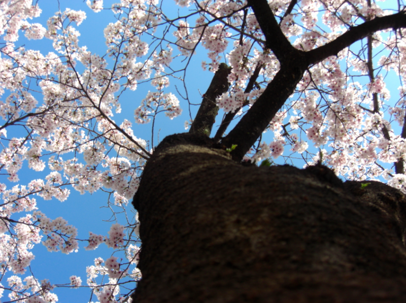 f:id:nakakazukashima:20170416210708p:image f:id:nakakazukashima:20170416210708p:image
