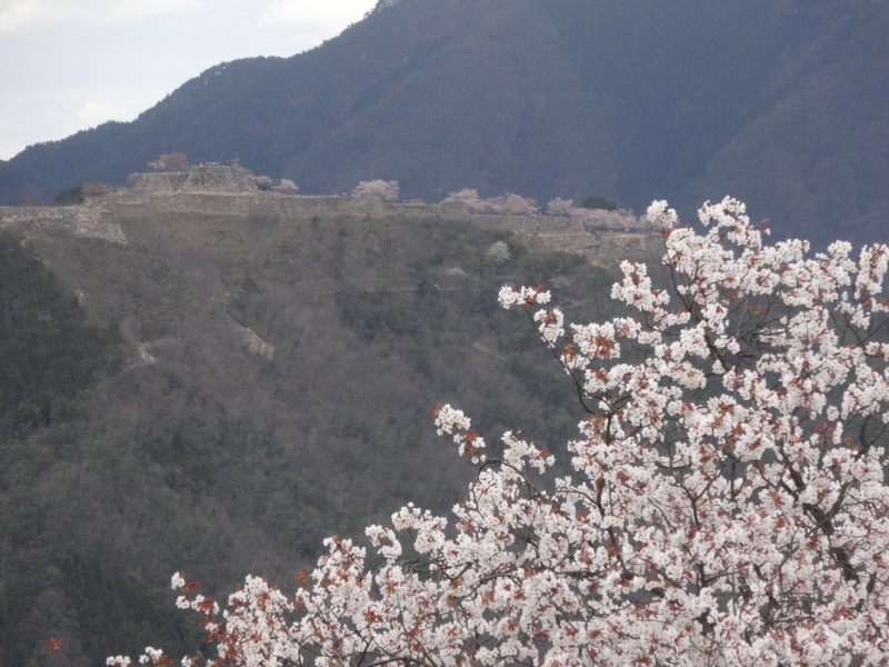 f:id:nakama-t:20160403120537j:image:w600