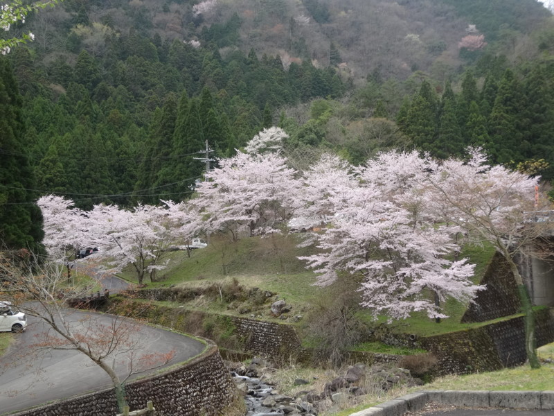 f:id:nakama-t:20160410123823j:image:w260:left
