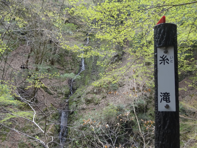 f:id:nakama-t:20160410130140j:image:w260:left