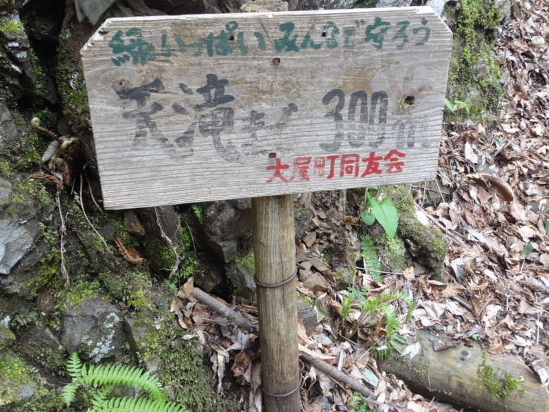 f:id:nakama-t:20160410140804j:image:w300:left