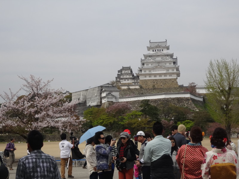 f:id:nakama-t:20160412142140j:image:w450