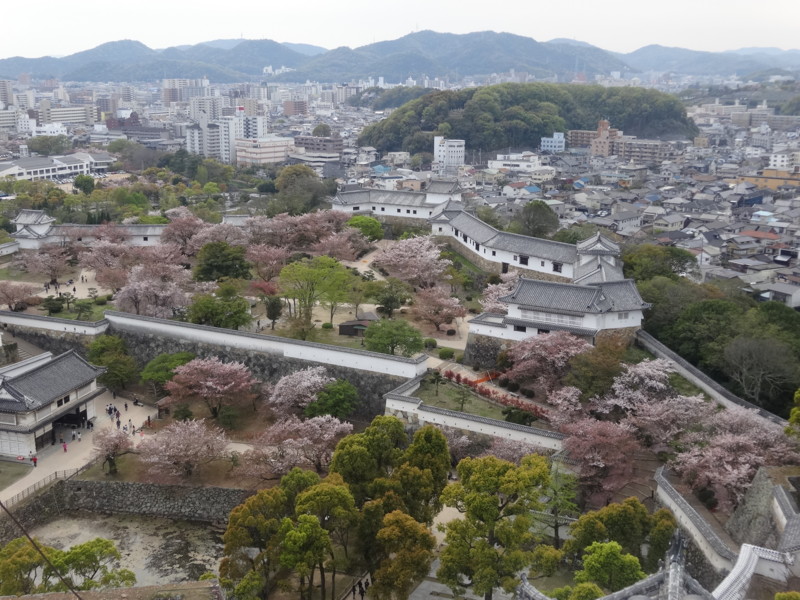 f:id:nakama-t:20160412150108j:image:w450:right