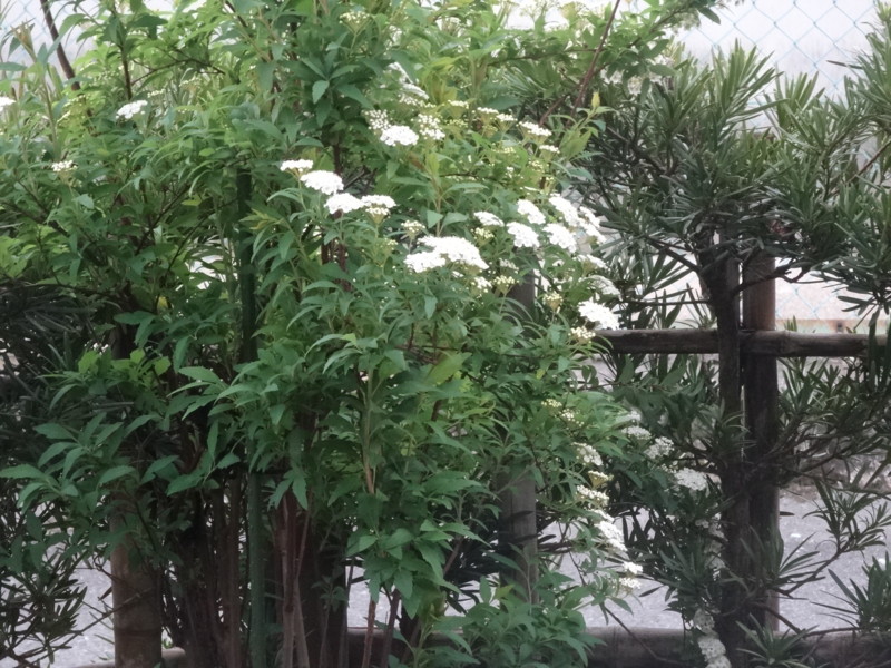 f:id:nakama-t:20160423173201j:image:w360:left