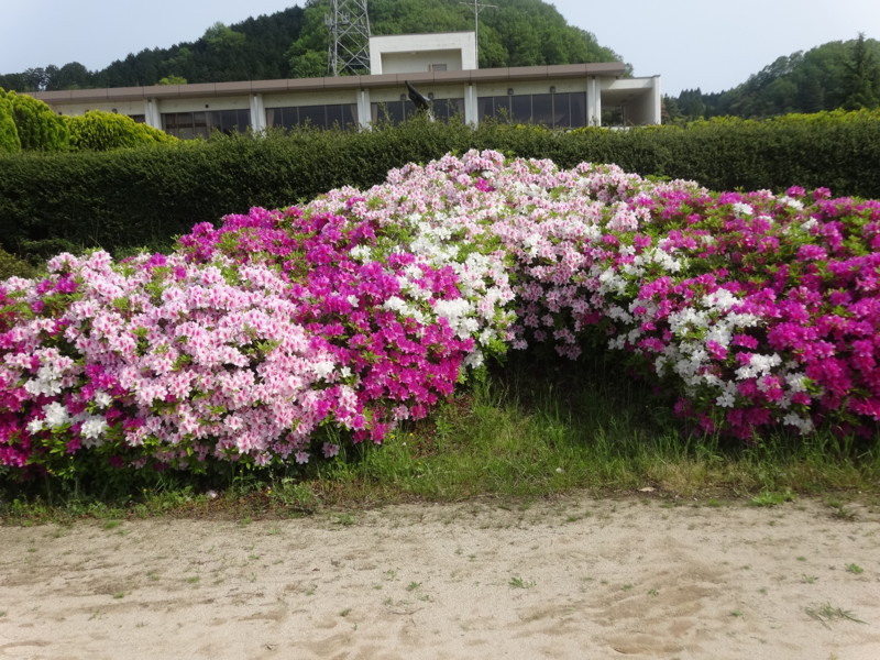 f:id:nakama-t:20160430085841j:image:w270:left