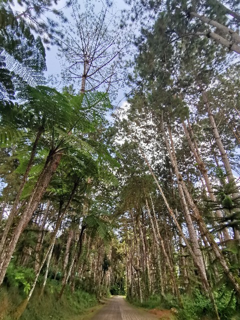 f:id:nakamin0717:20190908155357j:image