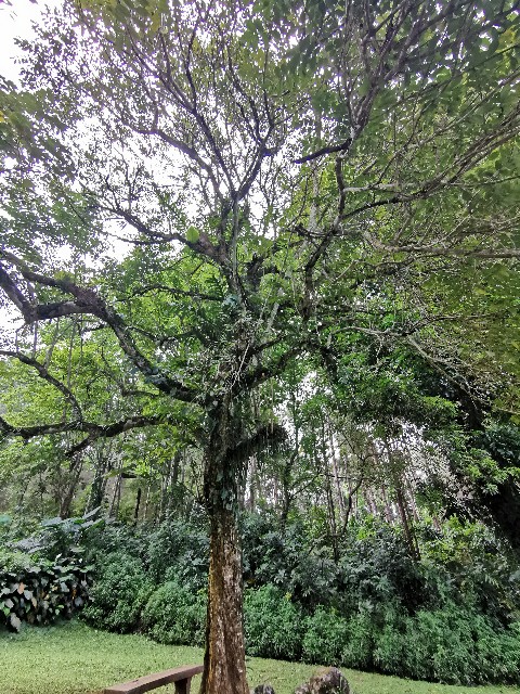 f:id:nakamin0717:20190908155924j:image