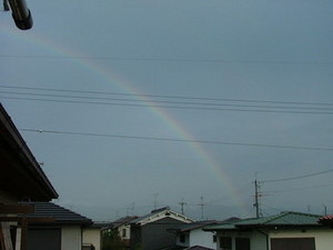 051007虹