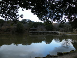 20090125223635