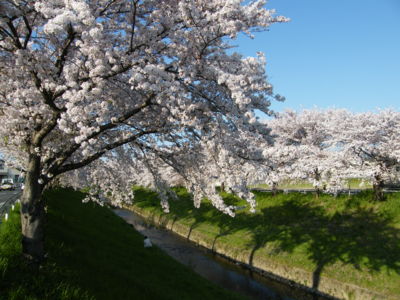 20090409205257