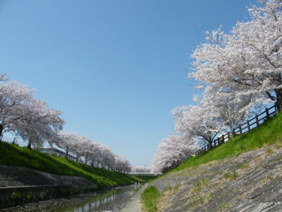 20090409205657