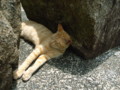 20090724223355
