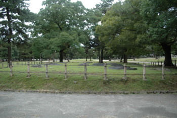 20100516142916