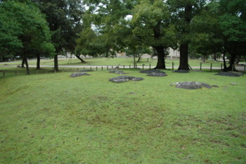 20100516142917
